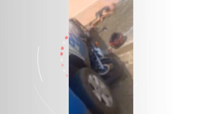 atropelado-