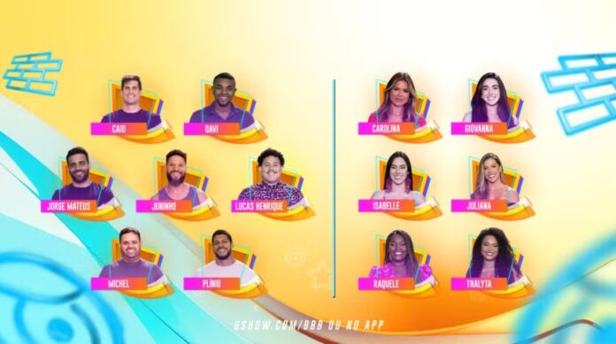 treze-particiapntes-bbb