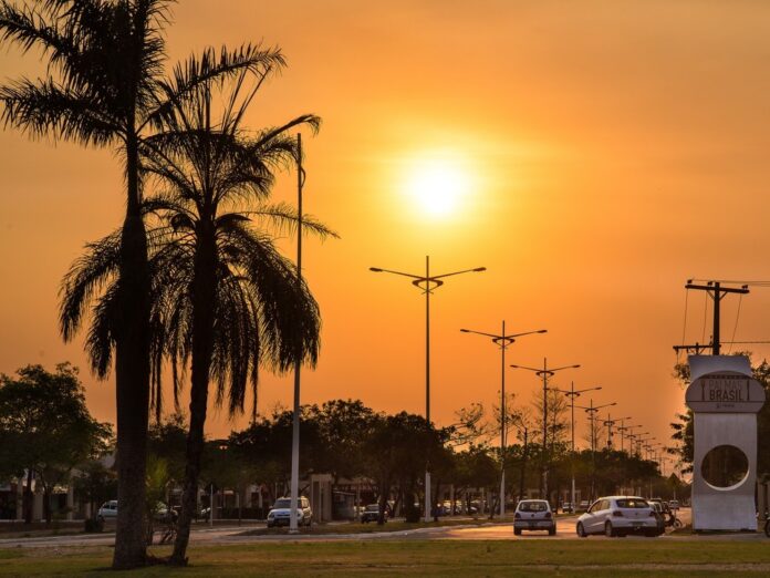 palmas