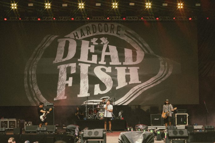 moriva-lolla-dia1-budweiser-deadfish-alexandrewoloch-7731-scaled