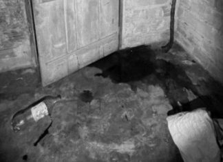 Investigação aponta que marido é suspeito de torturar e matar mulher a tiros na frente do filho de 8 anos