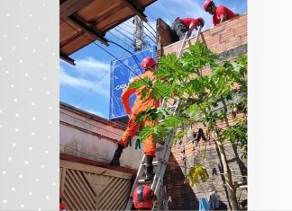 VÍDEO: Homem leva choque elétrico enquanto estava em telhado de açougue, dizem bombeiros