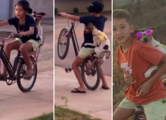 Menino de 9 anos viraliza após vídeo dando ‘grau’ de bicicleta com cachorrinha na garupa: ‘Nunca me abandona’