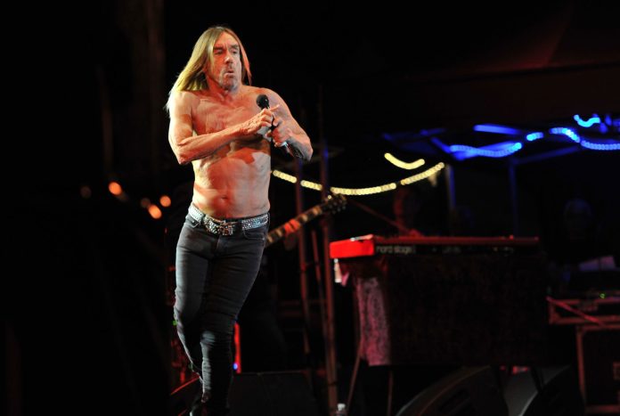 iggy-pop