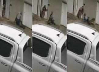 Idoso ferido em ataque de pitbull corre risco de perder braço e deve passar por nova cirurgia