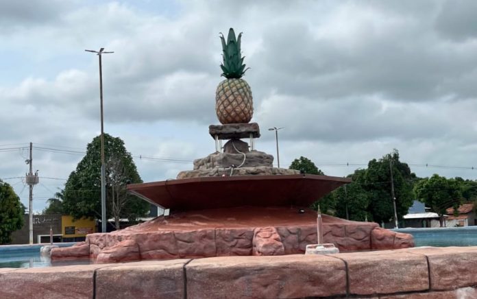 abacaxi-gigante-em-ananas-simbolo-do-nome-da-cidade.