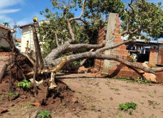 Prefeitura decreta situação de emergência após temporal danificar casas na região sul de Palmas