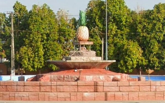 praca-em-ananas-tem-o-simbolo-de-um-abacaxi-que-jorra-agua