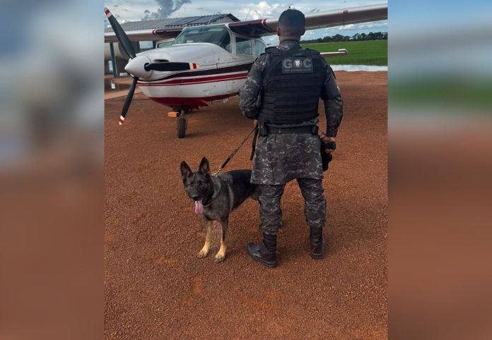 foto-e-montagem-vertical-7-1