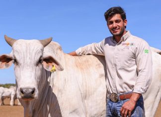 Empresário do agro morre após ser encontrado caído em fazenda no Tocantins