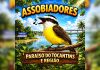 Brincadeira do ‘assobio’ lota grupo de aplicativo no TO e viraliza nas redes; VÍDEO