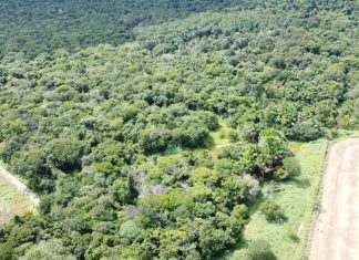 Veja como é a área onde mecânico agrícola ficou 20 dias desaparecido no Tocantins