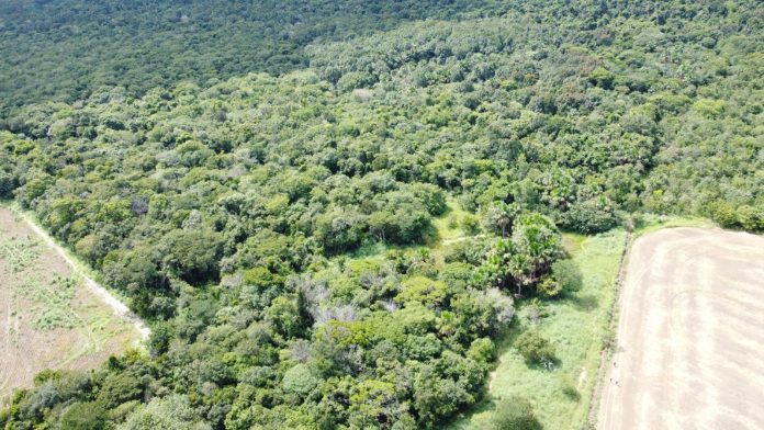 whatsapp-image-2026-04-06-at-08.18.52