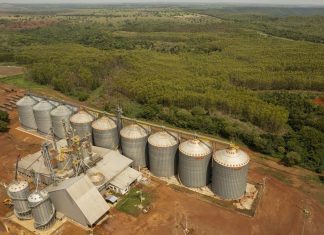Projeto de entreposto de grãos prevê investimento de R$ 100 milhões em cidade do Tocantins