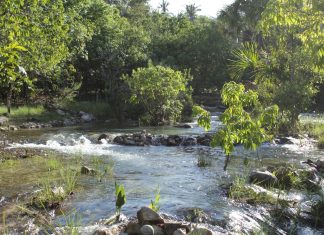 Águas cristalinas e tranquilidade: saiba como chegar ao ‘Caribe do Cerrado’ no TO