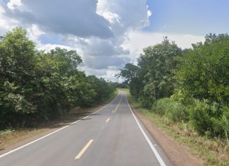 Uma pessoa morre após caminhonete sair da pista, bater em árvore e pegar fogo