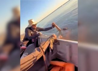 Veja o que se sabe sobre o caso do banhista salvo por pescadores no lago de Palmas
