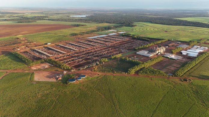 fazenda-grande-to