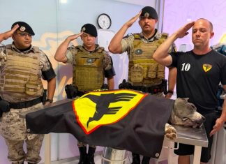 Cão da PM que ajudou a apreender mais de 3 toneladas de drogas recebe homenagem após morrer no TO
