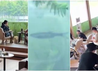 VÍDEO: Livraria ‘subaquática’ na China atrai turistas e moradores para ver fundo de lago