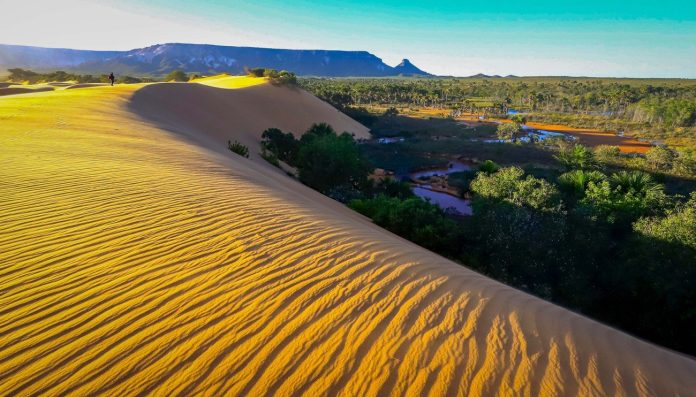 f-dunas-parque-estadual-do-jalapao-foto-marcio-vieira-govtojpg